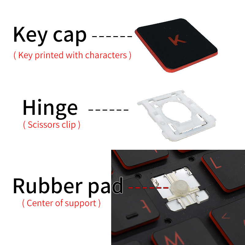 Replacement Keycaps Scissor Cl - Rtx 3090 24Gb Gddr6X review and price